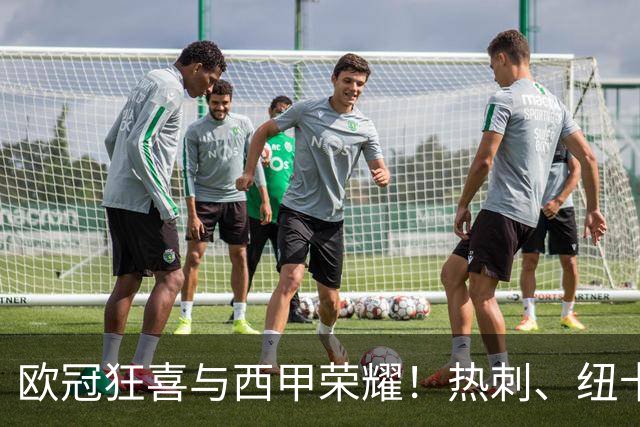 欧冠狂喜与西甲荣耀！热刺、纽卡获胜，皇马大胜登顶